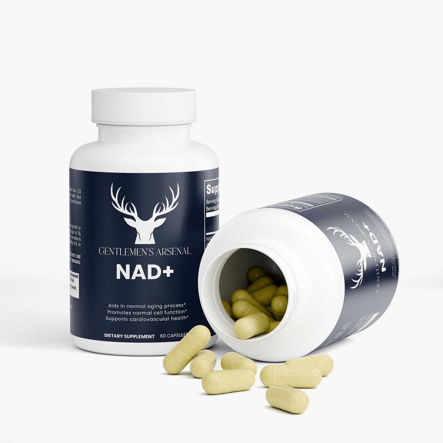 War Room Daily NAD+
